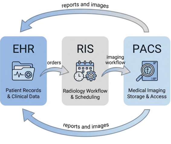 Difference between PACS RIS and EHR systems in healthcare infrastructure